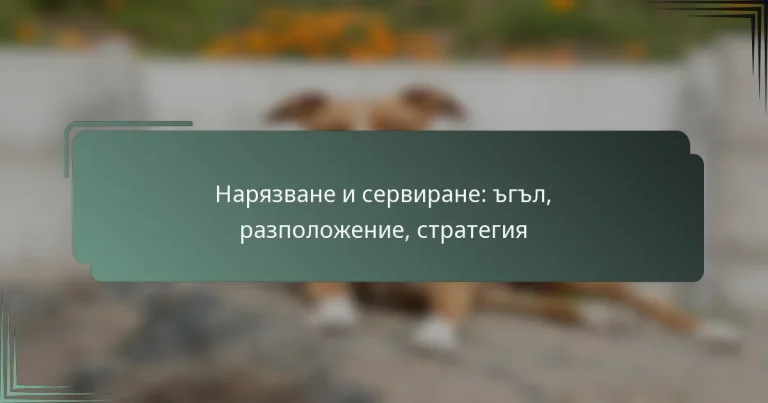 Нарязване и сервиране: ъгъл, разположение, стратегия