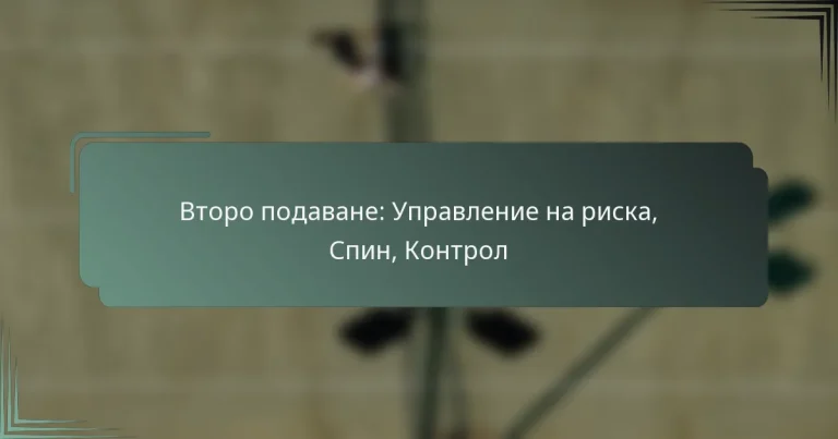 Второ подаване: Управление на риска, Спин, Контрол