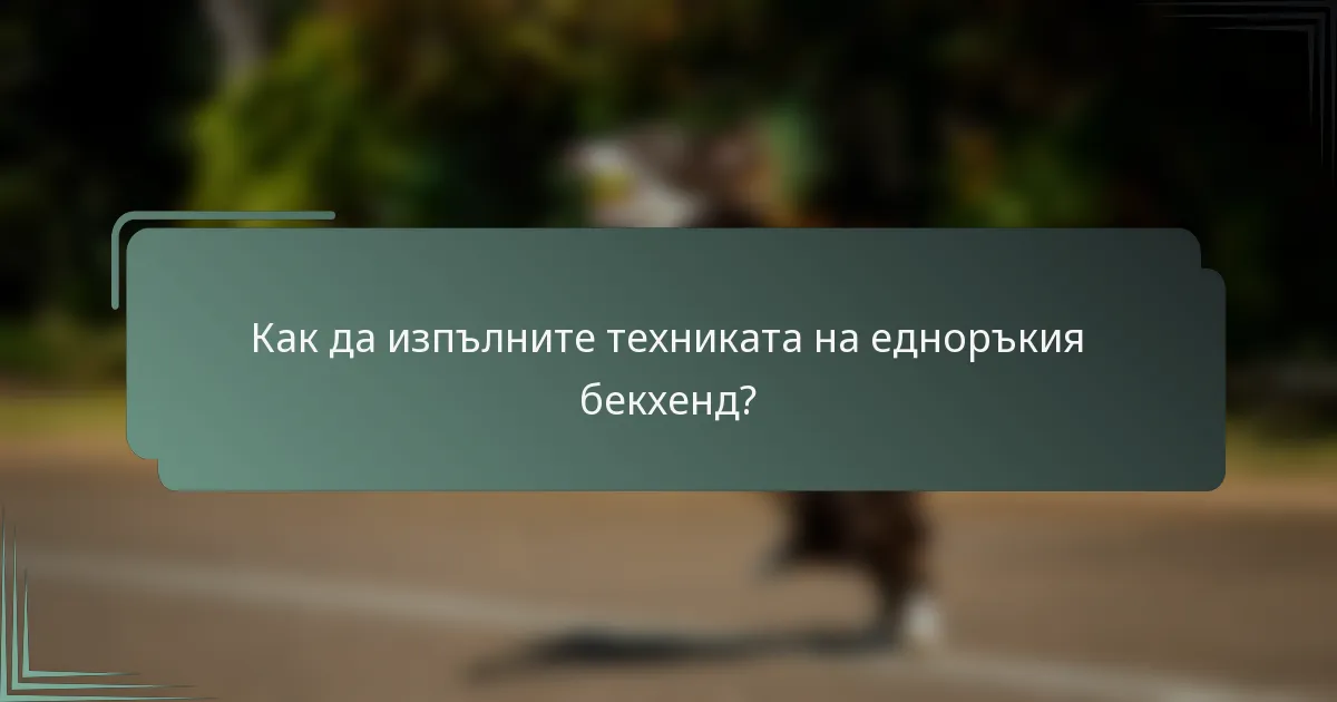 Как да изпълните техниката на едноръкия бекхенд?